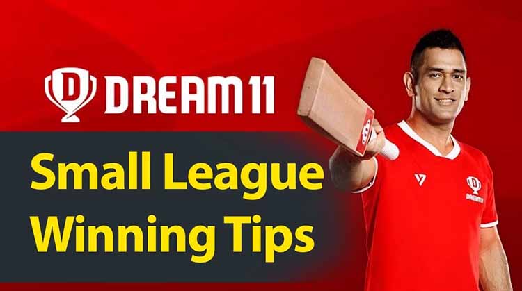 How to Win every Small League in Dream11 tips and tricks